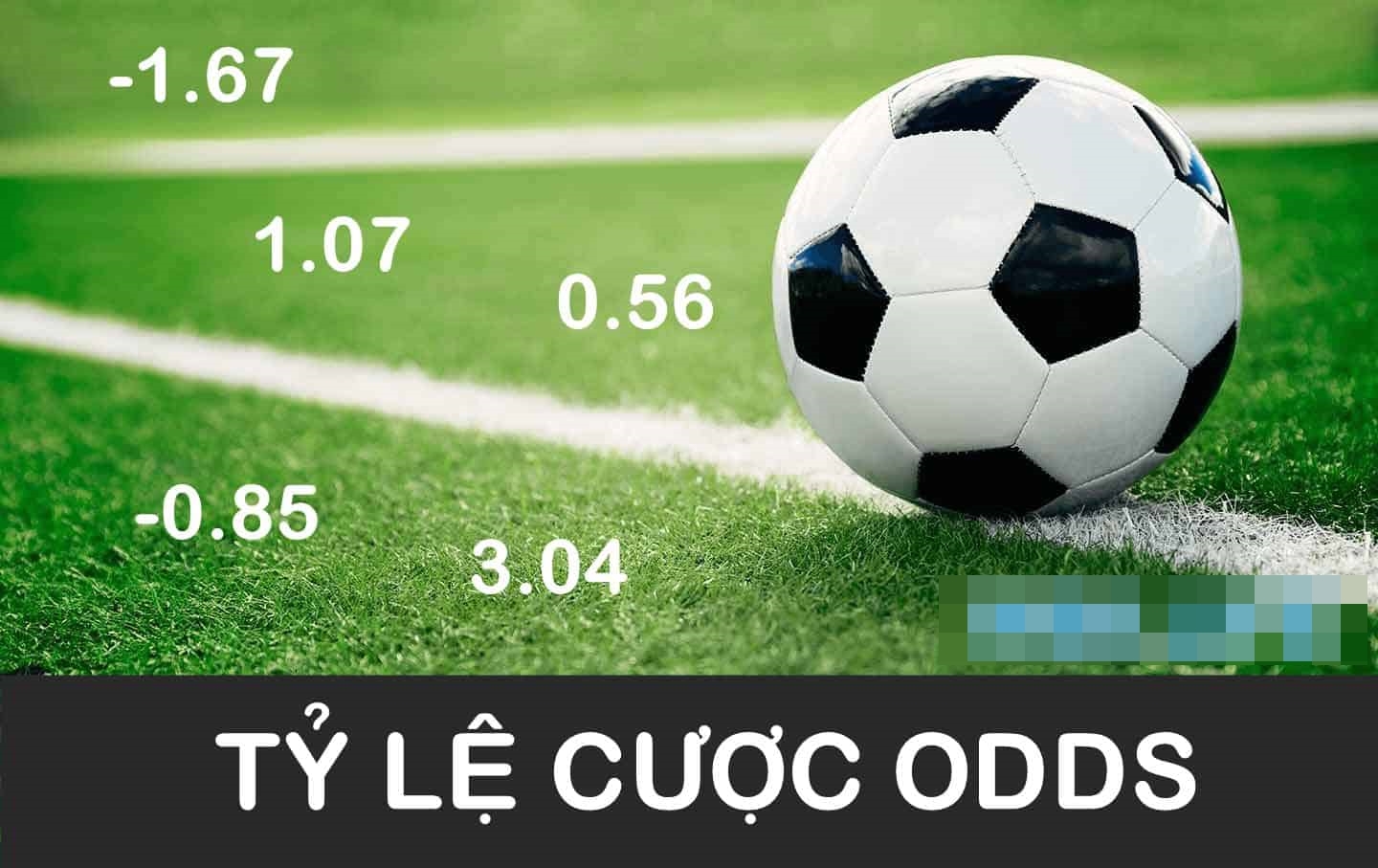 ty-le-cuoc-odds